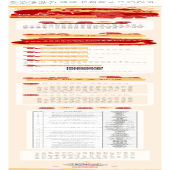 春风送岗至 涟滨启新职｜涟滨街道2026春风行动线下招聘会，2月5日不见不散！